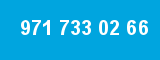 971 733 02 66 971 733 02 66